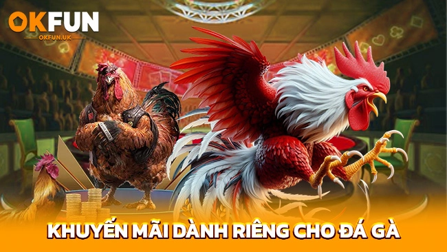Khuyến mãi dành riêng cho đá gà