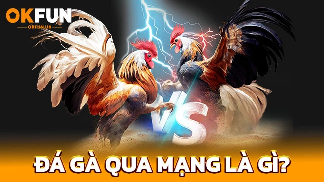 Đá gà qua mạng là gì?